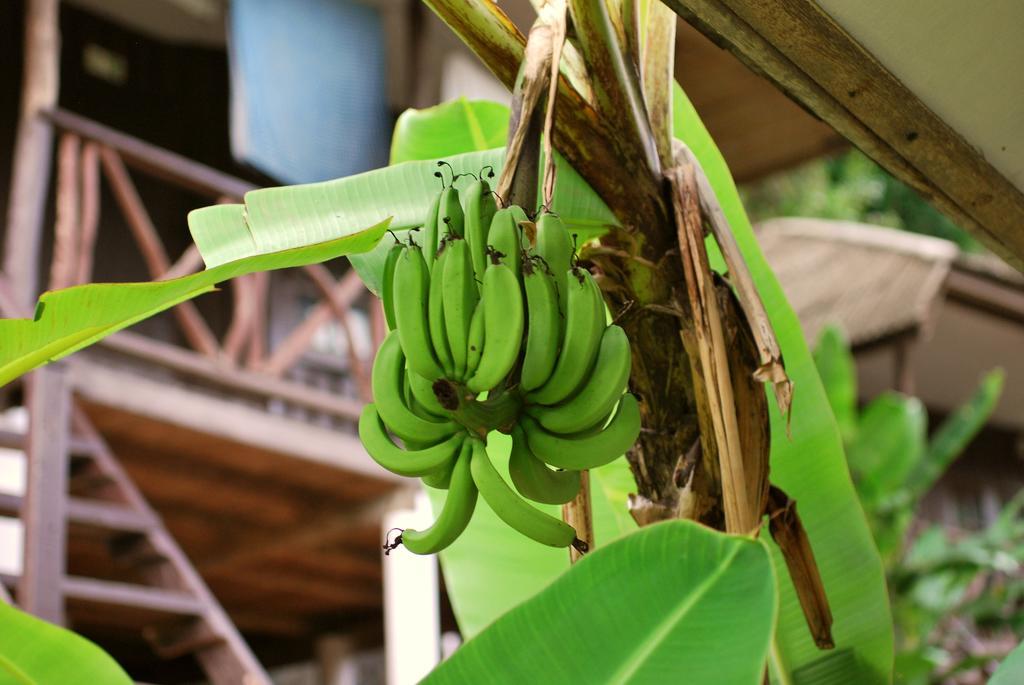 Green Canyon Resort Lamai Beach  Esterno foto