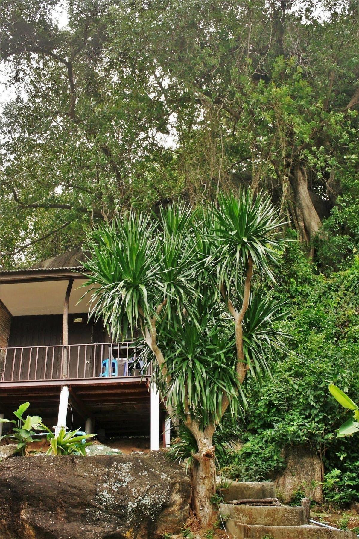 Green Canyon Resort Lamai Beach  Esterno foto